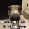 Não é fácil a vida do pobre 8