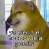 @_dankdogs ya cierra el hocico vieja puerka