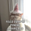 Cumpleaños Feli :D🥳 14