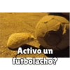 Activo un
futbolacho?