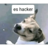Stickers que necesitas :) 13