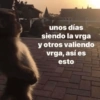 Animales Random 2🌸💥 9