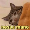Memes variados 10