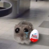 Cricetino Sad Hamster 8