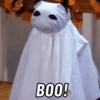 BOO!