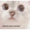 tquieres casar conmigo?