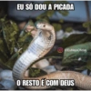 Nájila, a heroína de bsb 9
