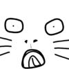 My cat 5