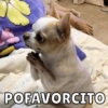 POFAVORCITO
