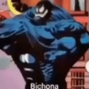 Bichona