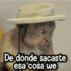 Changuitos Reacciones! 🐵🐒 10