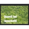 Ho detto a te !?!? 24