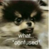 •
what..
*confused*