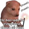 🐶Cheems Bebé🍼 18