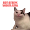 Ben Bi BOK
YEDİM AMA