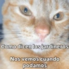 Cómo q me despida bien? 🤨 10