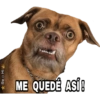ME QUEDÊ ASI!