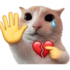 Gatitos para el chat 🫪 2 16