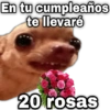 En tu cumpleaños te llevaré geysio 20 rosas