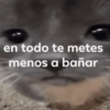 en todo te metes menos a bañar
