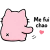 Nub cat 🩷 13