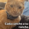 Cómo q me despida bien? 🤨 5
