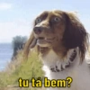 JÁ BAIXOU ESSAS FIGURINHAS?🤣 6