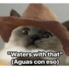Gatitos Reacciones 3.0  6