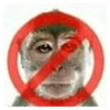 No c 26
