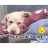 Jsjs 29