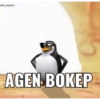 Pinguin 27