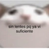 Gatitos Memes😺✨💕17 9