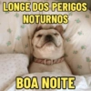 BOM DIA/BOA TARDE/BOA NOITE 😘 11