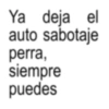 Ya deja el auto sabotaje perra, siempre puedes