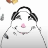 🐹 Hamster Tiktok 2📱 14