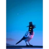 Bird K-pop 7