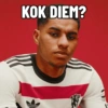 MANCHESTER UNITED 12