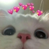 ()))
(C