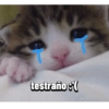 MASCOTA PT. 1 22