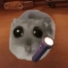 Cricetino Sad Hamster 20