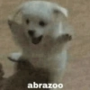 abrazoo