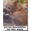 Jsjs 6