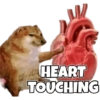 Cheems & Dogesh 10