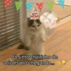 Aniversáriante/@ive_stickers  5