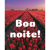 Boa noite Flores 11