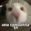 una consultita