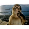 2025 trend gifs 7