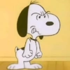 Snoopy Shows 🪄3✨ 17