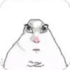 Hamster meme 2 10