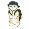 Abel's cat 1 22